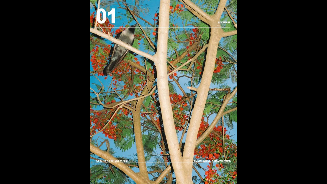COLIN_SALLE X RADIOCARME