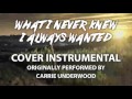 What I Never Knew I Always Wanted (Cover ...