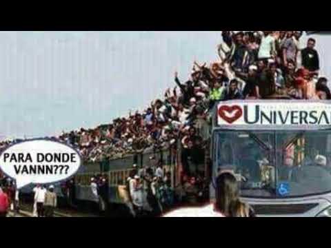 18449 Kittridge st Reseda