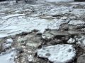 Ice Going Out March 12 11