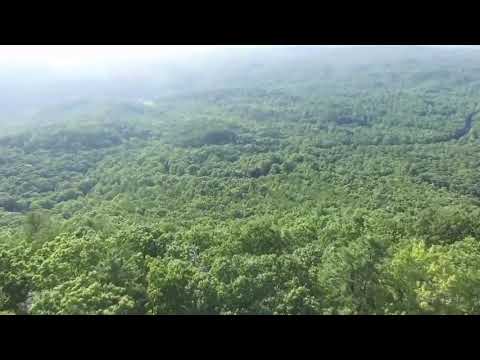 10 kafshet me te rrezikshme te Amazon