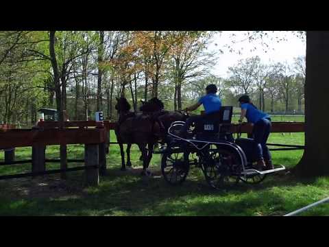 Fahrturnier Wettringen 22.4.2018