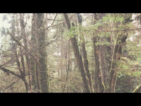 Video thumbnail for Forest Green