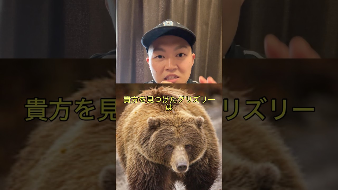 もしグリズリーに襲われたらどうするべきか #ライフハック