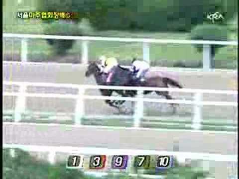 2008 Owners Association Cup (G3) (06.22, 10f)