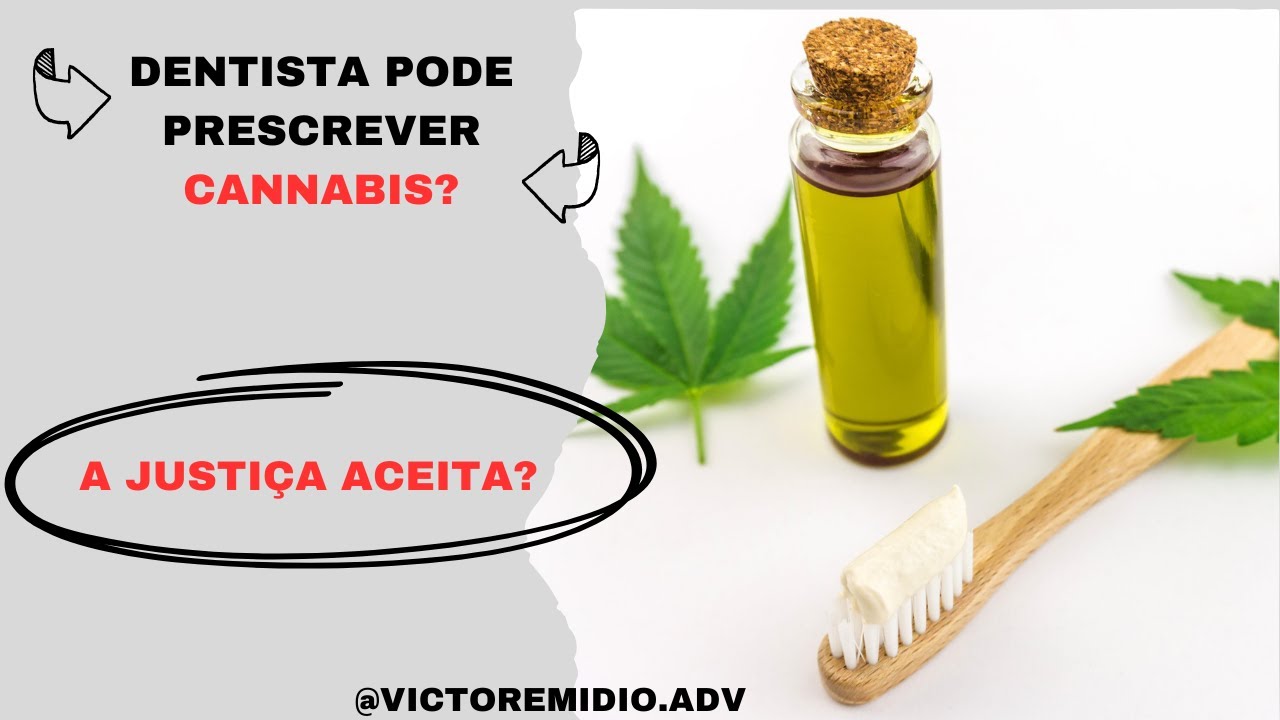 DENTISTA PODE PRESCRECER CANNABIS? A JUSTIÇA ACEITA? #duvidas