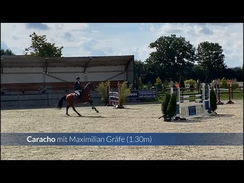 Turnierimpressionen - Caracho siegreich in Havekost