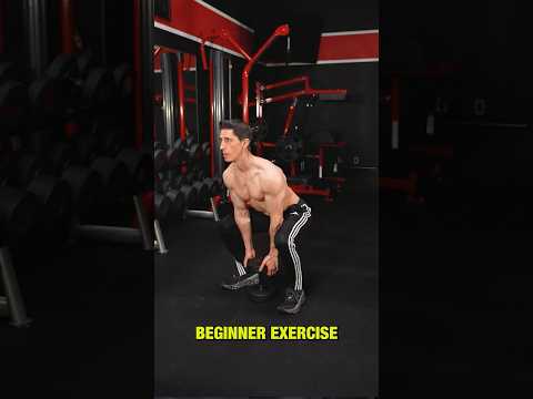 The BEST Workout for Beginners
