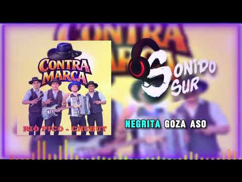Contra Marca de Rio Pico -Chubut (No Puedo Fingirlo )🎵🎶 Sonido Sur Oficial 