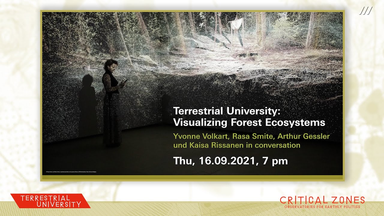 Terrestrial University: Visualizing Forest Ecosystems