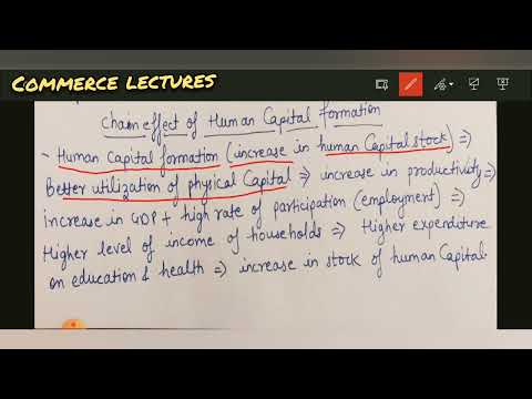 human capital human capital formation class 12 Indian economic development