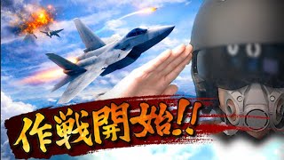 【戦場再現】エースコンバットの世界に入り込みすぎた結果が楽しすぎる