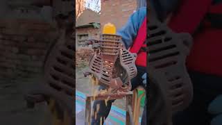 እድሜ ልኬን በሬና ጥጃውን ሼጦ ላስተማረኝ የሃገሬ ገበሬ ይህችን የበቆሎ መፈልፈያ እንኳን ሰርቼ መዳፉን ከመገሸለጥ አላዳንኩትም።