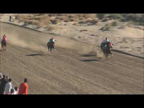 Club Hipico "Añelo"  15-05-2022  GITANO