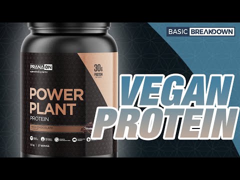 Prana ON Power Plant Vegan Protein Powder Supplement Review | Basic Breakdown