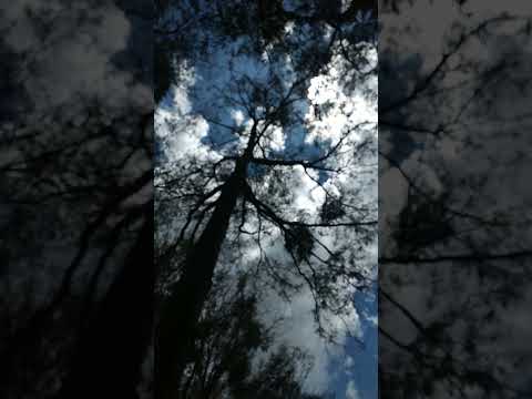 PARQUE MONTEIRO LOBATO PONTA GROSSA PARANÁ BRASIL