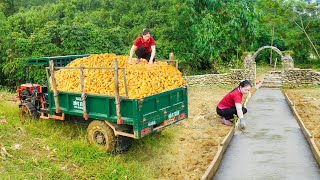 Use Trucks To Transport Corn - Rebuild The Concrete Road From The Gate To The Stone House