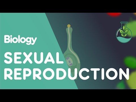 Sexual Reproduction in Plants | Plants | Biology | FuseSchool