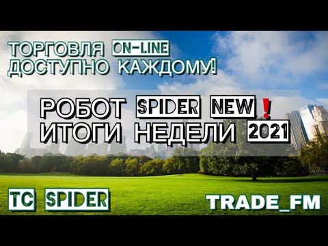 Video Spider Grid NEW