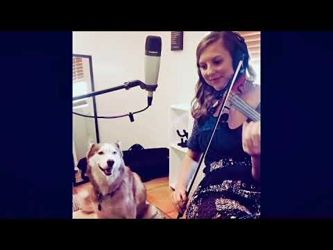 Promotional video thumbnail 1 for Sophia Studios