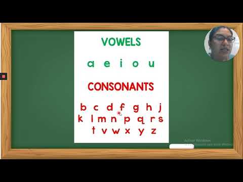 Vowels and Consonants