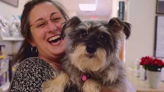 4 PAWS ANIMAL HOSPITAL l Promotional Video