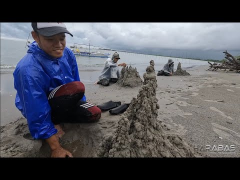 EP763-P2 - Update sa mga Pananim sa Isla | Occ. Mindoro