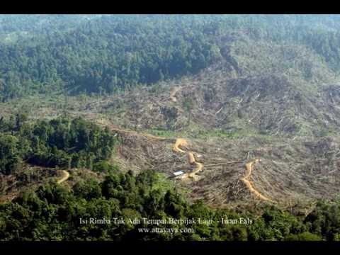 Iwan Fals Isi Rimba Tak Ada Tempat Berpijak Lagi