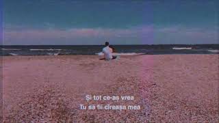 The Motans   Mr  Tort   Videoclip Oficial