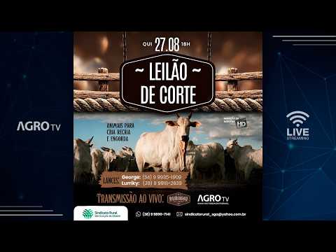 LEILÃO DE SÃO GONÇALO DO ABAETÉ - 27/08/2026