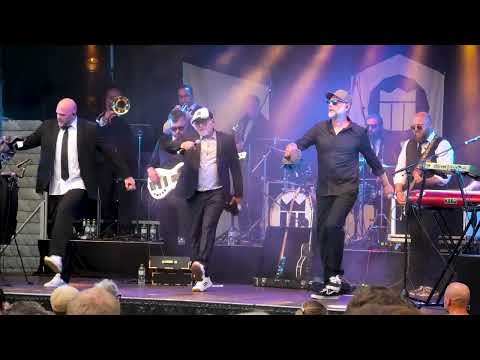 Music Monks - A Tribute to Seeed and Peter Fox  -  beim Musiksommer Brilon 2023