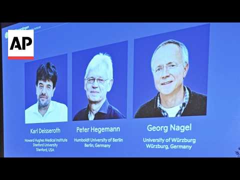 諾貝爾醫學獎由 3 位科學家因大腦活動研究獲獎! (Nobel medicine prize goes to 3 scientists for research into brain activity)