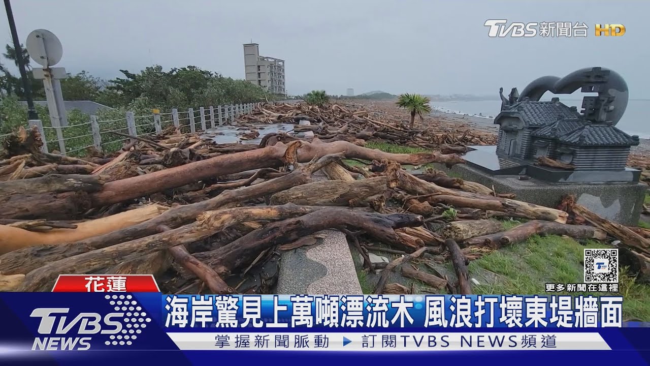 海岸驚見上萬噸漂流木!風浪打壞東堤牆面