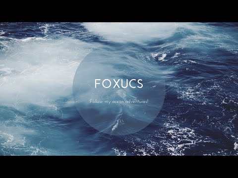 download lagu mp3 mp4 Shopping Mall Background Music Free, download lagu Shopping Mall Background Music Free gratis, unduh video klip Shopping Mall Background Music Free