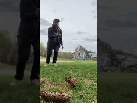 Inward ken flip swing spike ☺️🙏🌞 #kendama #kendamatricks #mattdevilsticks #playeveryday