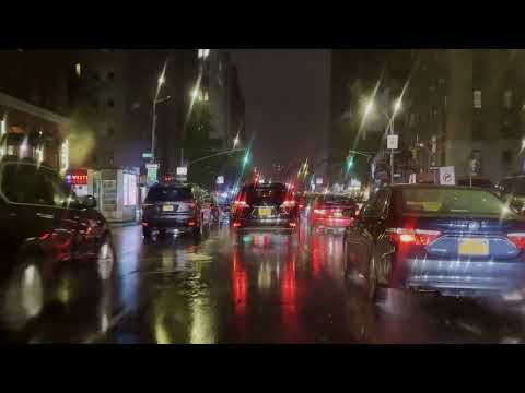 Wolfgang Tillmans - Modernist Survival Unit