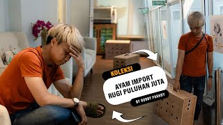 Download lagu CEK KESEHATAN AYAM IMPORT KE DOKTER HEWAN mp3
