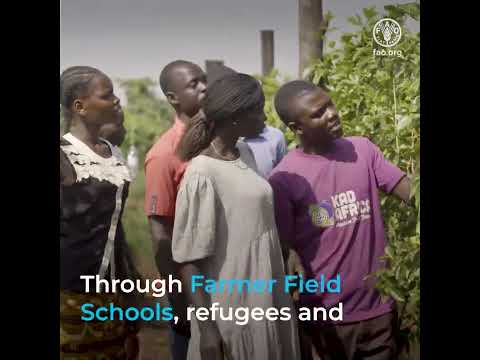 Betty’s story: Investing in agricultural livelihoods to support refugee and host communities