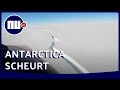 IJsschots zo groot als provincie Utrecht breekt af van Antarctica | NU.nl