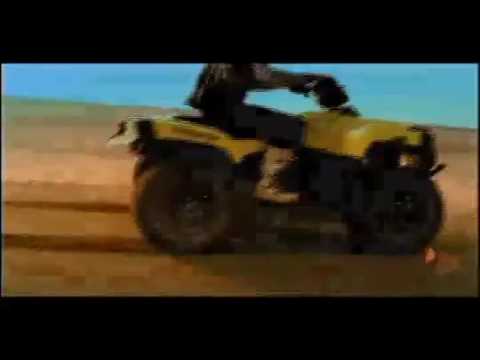 Cectek   High Quality Quads der Spitzenklasse