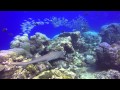 amédée diving center HD 720p, Amadee Diving, Nouméa, Neukaledonien