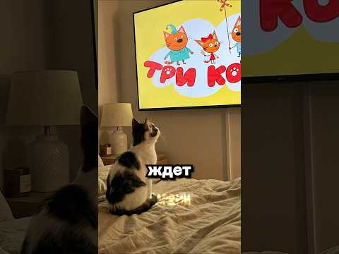 Малыш любит мультики🥺😭