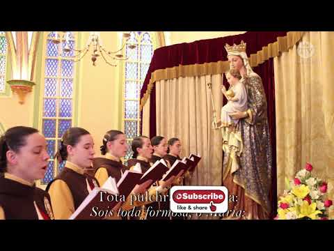 Aleluia, tota pulchra