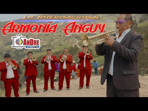 ARMONÍA ANGUY | HUAYNO | SAN IGNACIO 2019 (2)