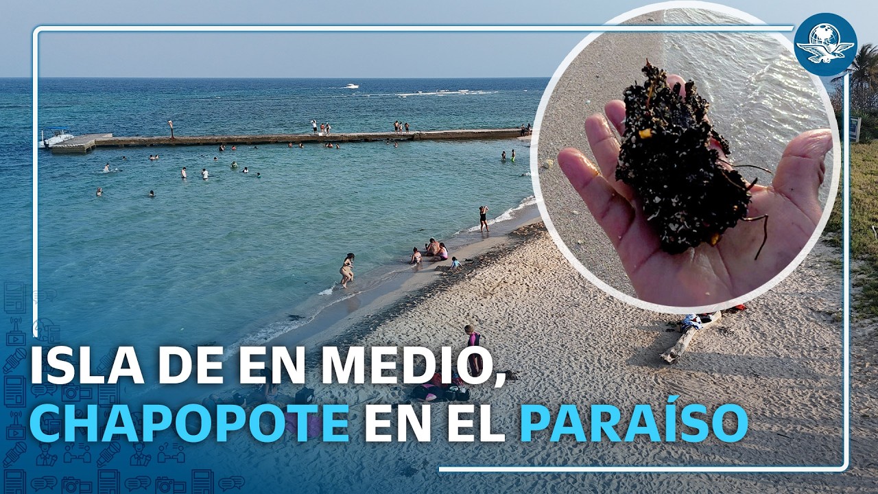 Chapopote en aguas turquesa: el derrame ya llegó a Isla de Enmedio