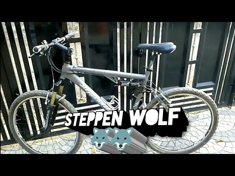 Introducing my new Steppenwolf🐺🐺 cycle😍😍