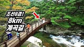 🚗 한 여름에도 추워요!  19개의 비경이 숨어있는 &#39;조선8경&#39; 8km 계곡 트레킹 코스 | 📸 대중교통 당일치기 여행 |🇰🇷 Korea National Treasure