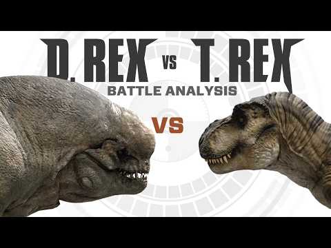 Who would've won the final Showdown in Rebirth?