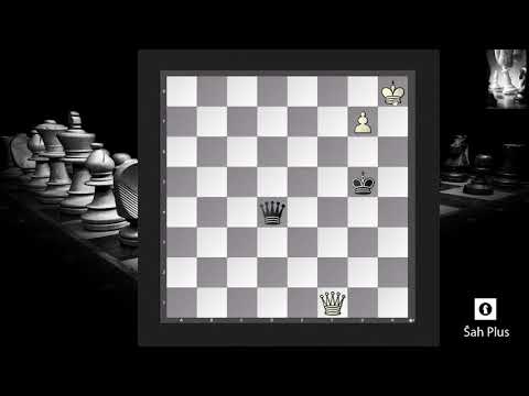 Šah i Šahovska taktika - Najvažnije Šahovske Pozicije i Ideje Ep.46