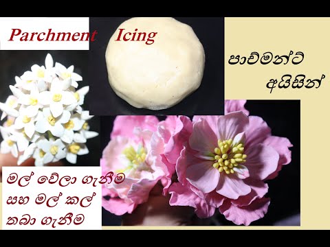 download lagu mp3 mp4 Parchment Icing, download lagu Parchment Icing gratis, unduh video klip Parchment Icing